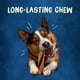 Purina Busy With Beggin Real Bacon Long Lasting Chew for Dogs